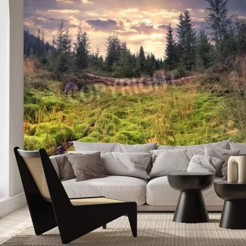 Fototapete Grüne Landschaft im Sommer