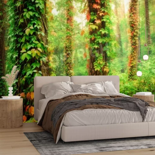 Fototapete Mit Pflanzen bewachsene Bäume