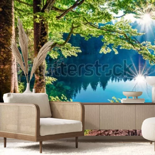 Fototapete Waldnatur im Sonnenlicht