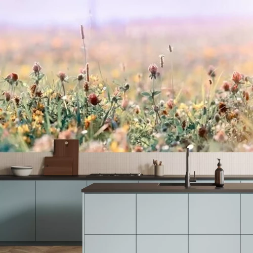 Fototapete Von der Sonne verbrannte Wiese und Blumen