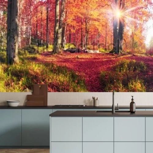 Fototapete Herbstlandschaft Wald am Morgen mit bunten Blättern