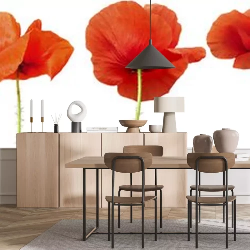 Sticker Rote Blumen in einer Reihe angeordnet