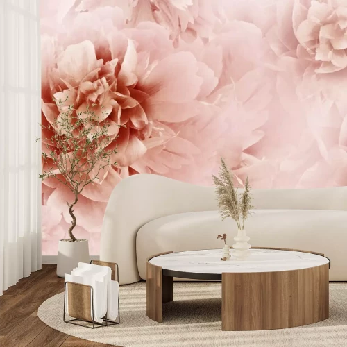 Fototapete Rosa abstrakte Pfingstrose