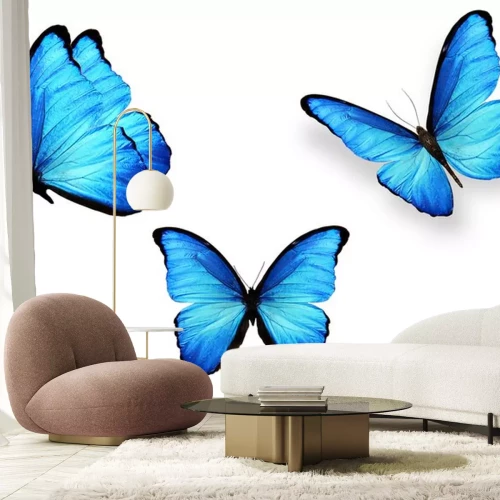 Sticker Drei Schmetterlinge mit hellblauen Flügeln