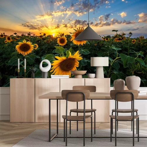 Sticker Sonnenblumen und Sonnenuntergang