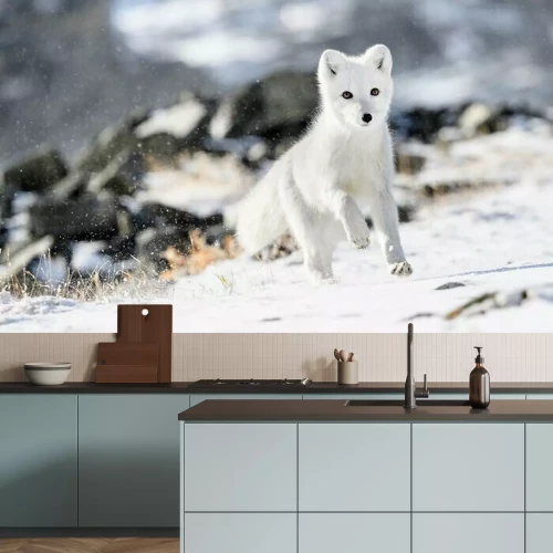 Fototapete Polarfuchs im Winter