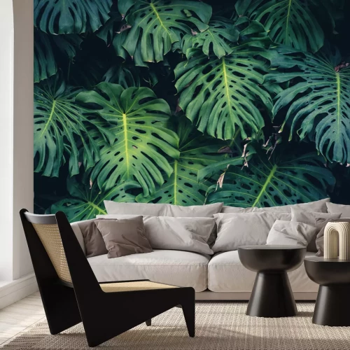 Fototapete Monstera aus Regenwald