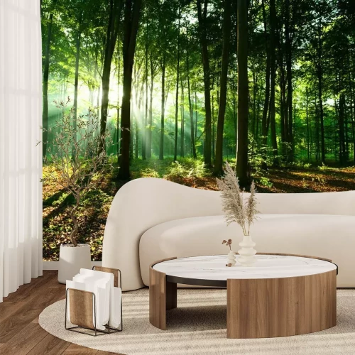 Fototapete Sonnenaufgang im grünen Wald