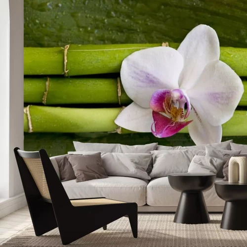 Sticker Blume auf grünem Bambus