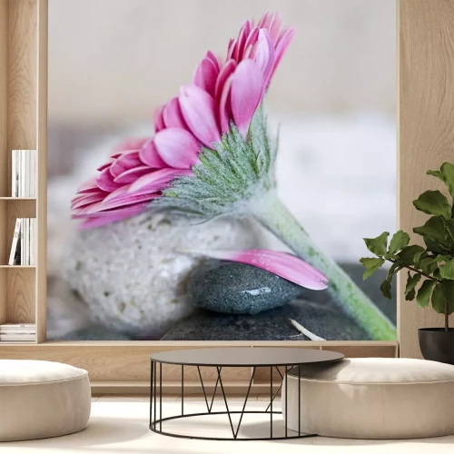 Sticker Große Blume auf Steinen