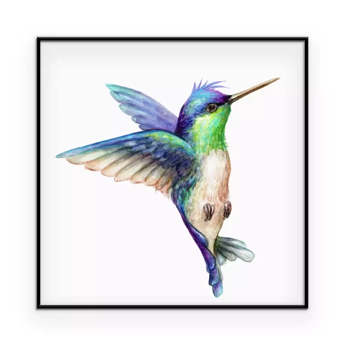 Poster Grafik eines farbenprächtigen Vogels im Flug