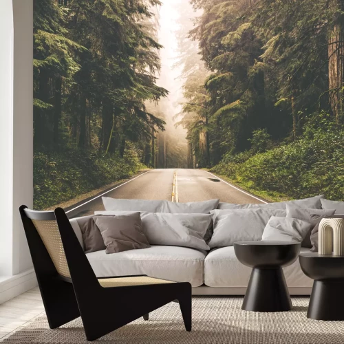 Fototapete Waldweg auf einer Landschaft