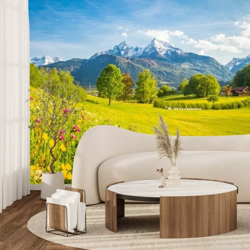 Fototapete Blühende Wiese im Frühling