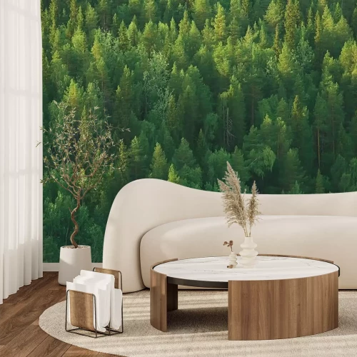 Fototapete Grüne Taiga-Bäume