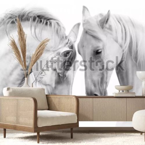 Fototapete Tiere Schwarz Weiß majestätisch