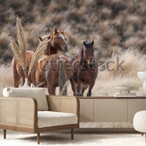 Fototapete Braune pferde mit gras im hintergrund