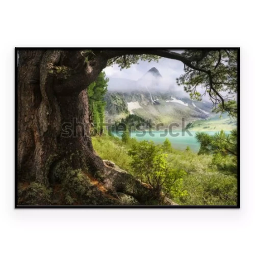 Visualisierung des Produkts