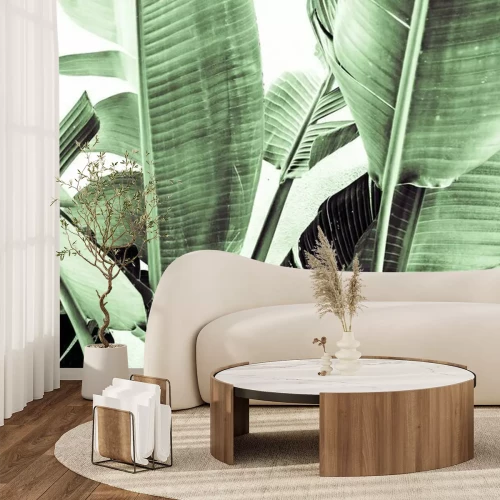 Fototapete Bananenblätter