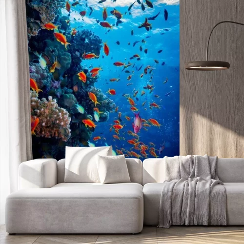 Fototapete Korallenriff Farbenspiel im Meer