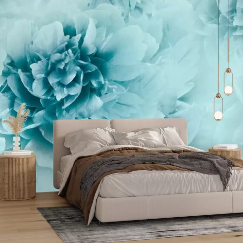 Fototapete Türkisfarbene Frühlingsblume