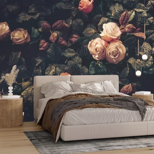 Fototapete Schicke Rosen auf dunklen Blättern