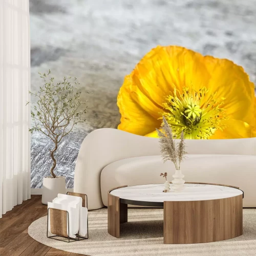 Sticker Gelbe Blume auf einem alten Holz