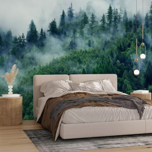 Fototapete Misty landscape with fir forest. Morning fog in the mountains. Beautiful landscape with mountain view and morning fog.