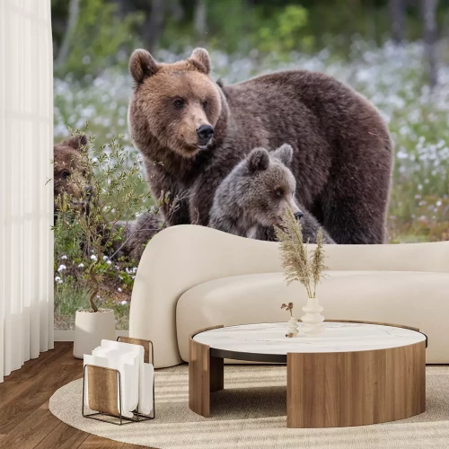 Fototapete Bären auf einer Blumenwiese