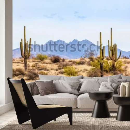 Fototapete Wüste und Kakteen in Arizona