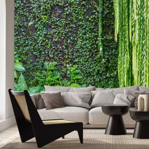 Fototapete Mauer mit Efeu im Park