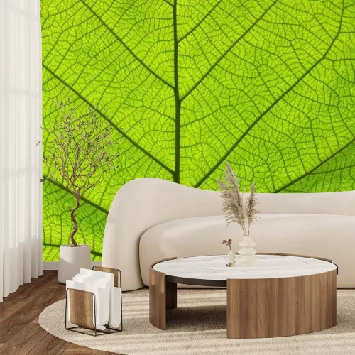 Sticker Extreme close up texture of green leaf veins