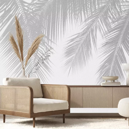 Fototapete Palm leaf shadows on a white wall