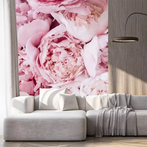 Fototapete Breite Pfingstrosen Nahaufnahme