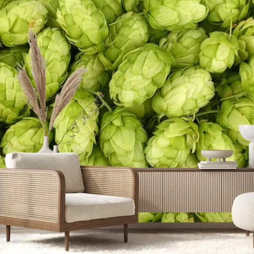 Fototapete Frischer grüner Hopfen