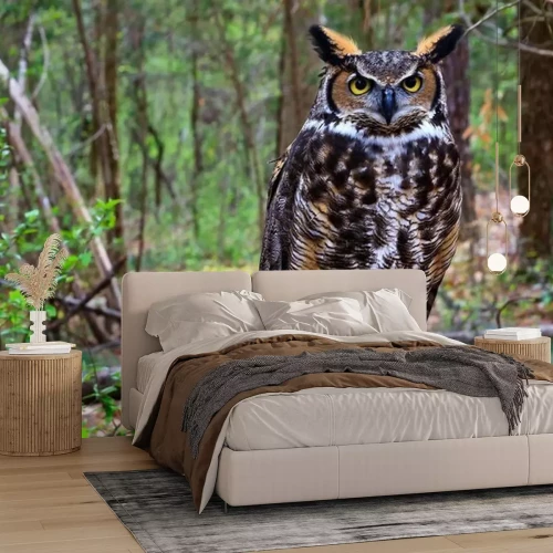 Fototapete Waldvogel auf dem Ast