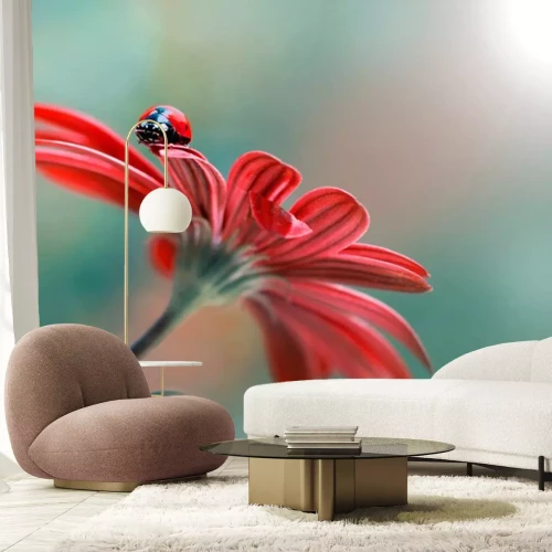 Sticker Marienkäfer auf einer roten Blume