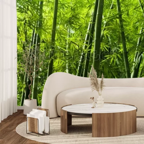 Fototapete Tropischer Bambuswald