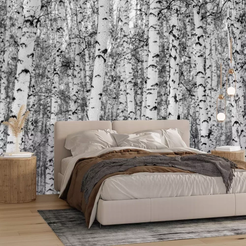 Sticker Birke las Winterlandschaft, Schwarzweiss-Foto