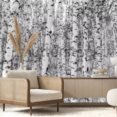 Sticker Birke las Winterlandschaft, Schwarzweiss-Foto