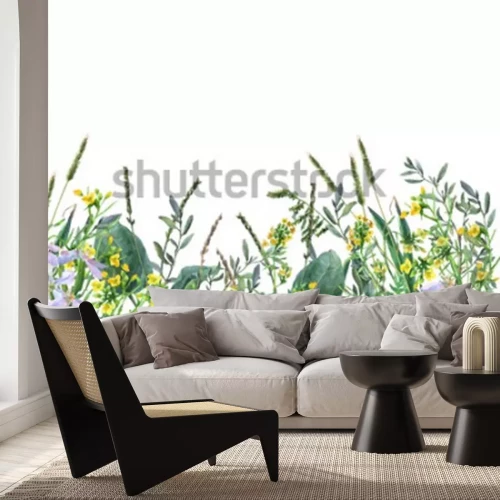 Sticker Feldblumen auf einer botanischen Illustration