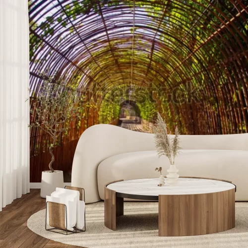 Fototapete Park voller Bambusse