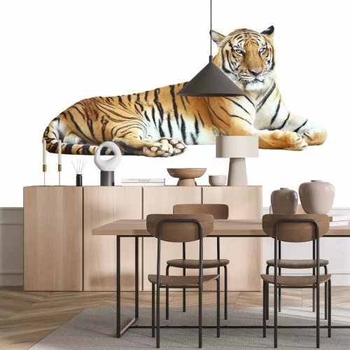 Sticker Tiger mit bedrohlichem Gesicht und schwarzen Streifen