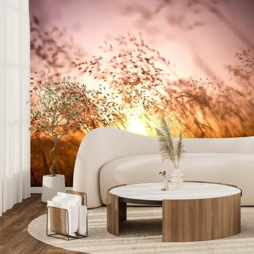 Fototapete Natur schön