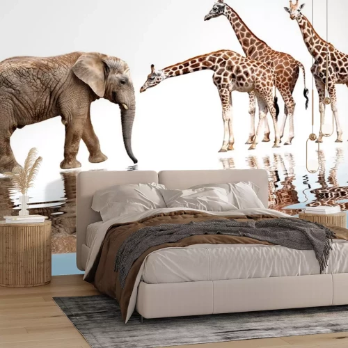 Sticker Safari Tiere Elefant und Giraffen am Wasser