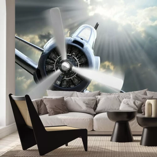 Fototapete Ein Kampfjet im Flug im Sonnenlicht