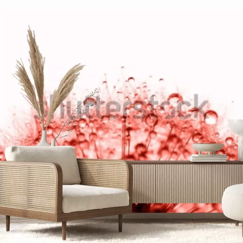 Fototapete Rote Pusteblume mit Tropfen