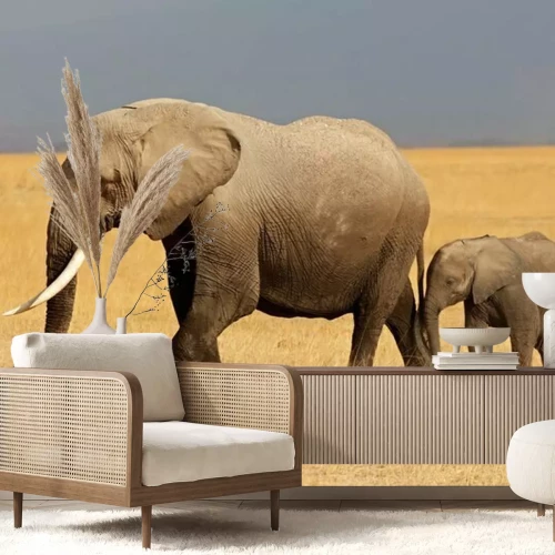 Sticker Afrikanischer Elefant mit Kalb, Amboseli National Park