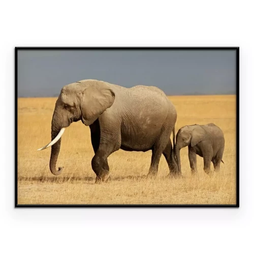 Poster Afrikanischer Elefant mit Kalb, Amboseli National Park