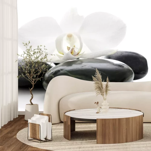 Sticker Orchid Blume auf Zen-Steine