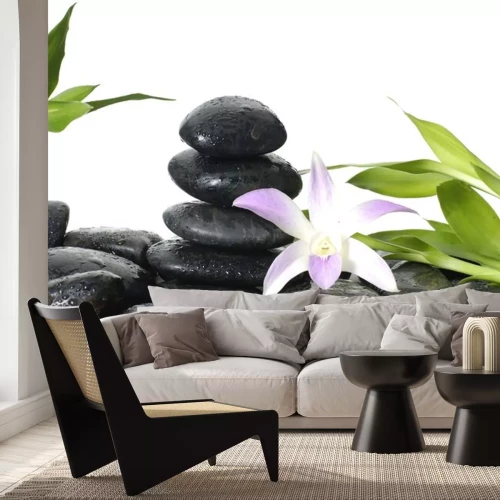 Sticker Oriental Spa - rosa Orchidee, Bambus Stammzellen in Wassertropfen